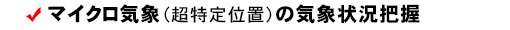 マイクロ気象(超特定位置)の気象状況の把握